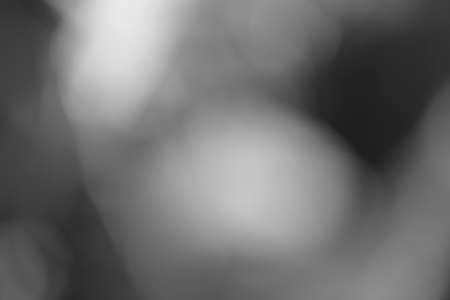 abstract  green leaves in nature like a blurry  picture, for  blurred  backgroundの写真素材