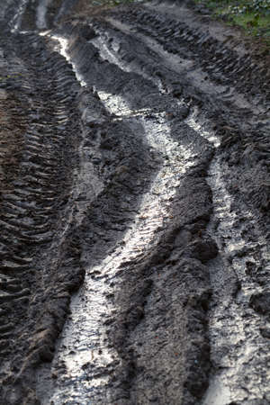 muddy path after the melting of snow, note shallow depth of fieldの写真素材