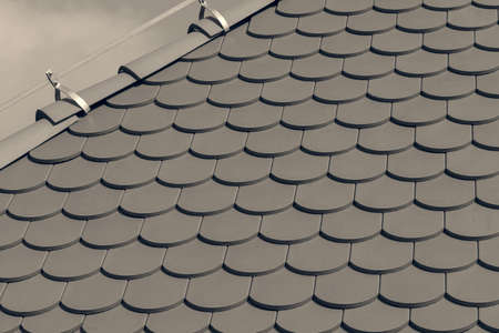semi-circular roof tiles, note shallow depth of field