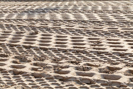 sand in construction with traces of Double vibratory roller, note shallow depth of fieldの写真素材