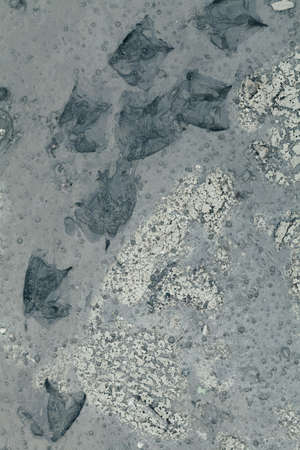 muddy country road  in autumn, note shallow depth of field