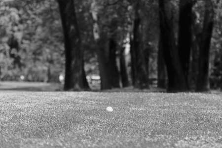 trees in the park in  spring, note shallow depth of fieldの写真素材