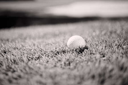 golf ball on the green grass, note shallow depth of fieldの写真素材