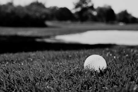 White golf ball on a grassy field, note shallow depth of field