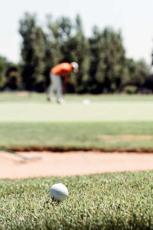 golfers on the golf course with trees around, note shallow depth of fieldの写真素材
