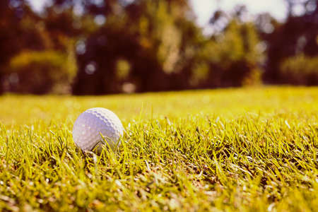 White golf ball on the grass close up, note shallow depth of fieldの写真素材