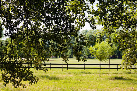 fence from wooden planks in the park, note shallow depth of field