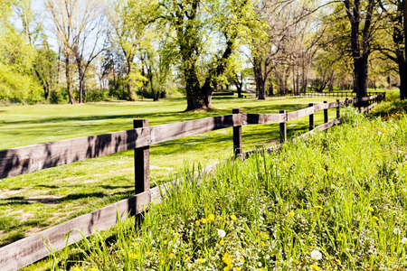 fence from wooden planks in the wood, note shallow depth of field