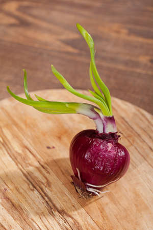 red onions on a round wooden board, note shallow depth of fieldの写真素材