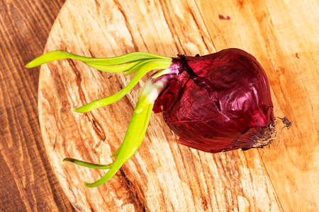 red onions on a round wooden board, note shallow depth of fieldの写真素材