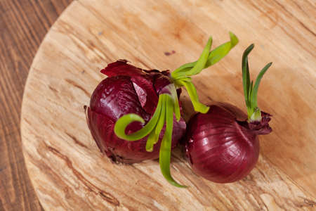 red onions on a round wooden board, note shallow depth of fieldの写真素材