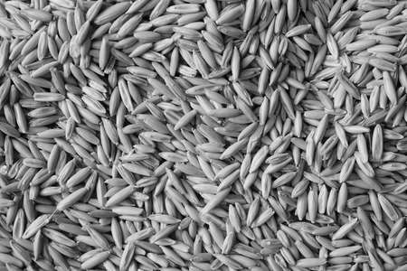 a large amount of grainの写真素材