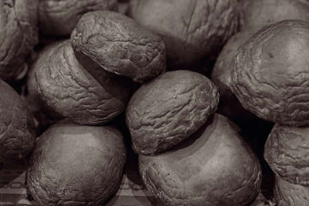 hats of king oyster mushroomの写真素材