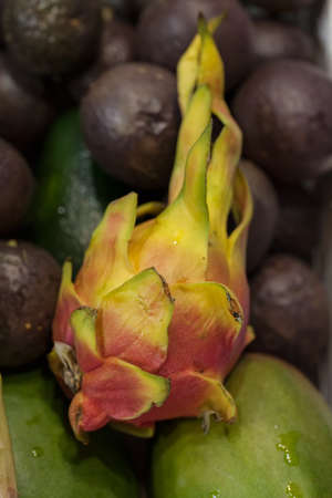 unripe pitahaya or dragon fruitの写真素材
