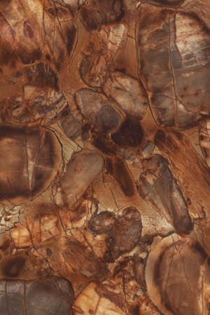 marble floor in brown and ocher shadesの写真素材