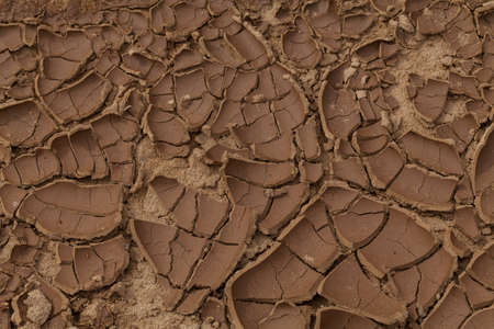 dried mud in nature, note shallow depth of fieldの写真素材