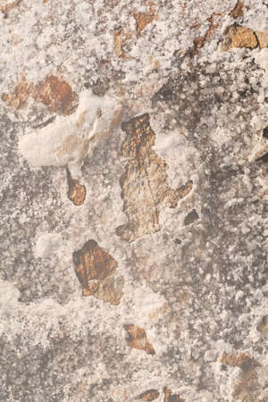 interesting stone wall with beautiful markingsの写真素材