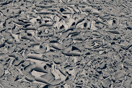 Trail of the dried and cracked mud in nature, note shallow depth of fieldの写真素材