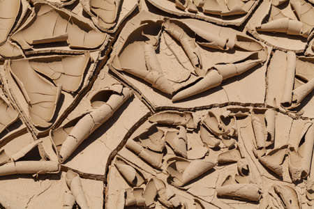 Trail of the dried and cracked mud in nature, note shallow depth of field