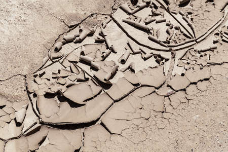 Trail of the dried and cracked mud in nature, note shallow depth of fieldの写真素材