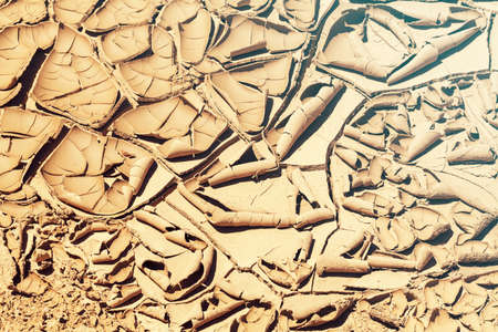 Trail of the dried and cracked mud in nature, note shallow depth of fieldの写真素材