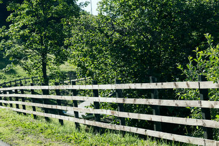 wooden fence around the farm in the forest, note shallow depth of fieldの写真素材