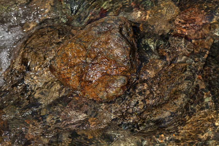 stone under the mountain water, note shallow depth of field