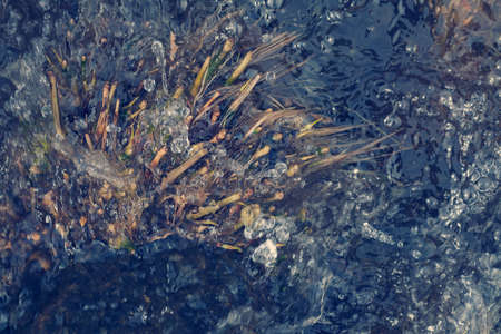 abstraction mountain water with vegetation, note shallow depth of fieldの写真素材