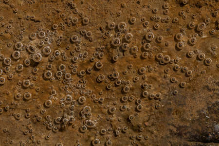 ditch waterの写真素材