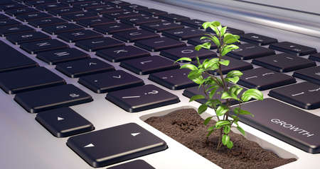 plant growing from laptop computer, growth concept, 3d render 3d illustrationの写真素材