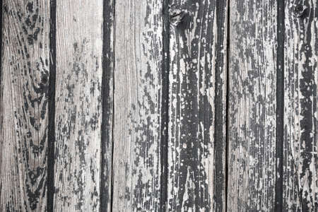 Wood planks texture background. Light grey surface of old wood with natural colorの写真素材