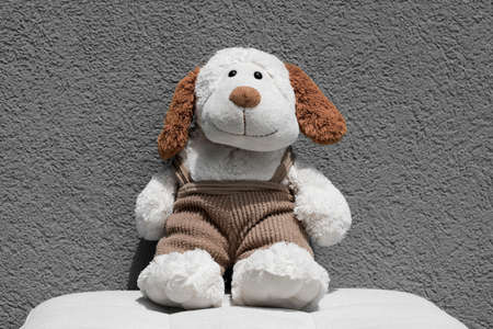 Funny cute plush dog on a grey background