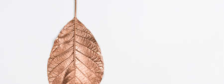 Autumn composition with autumn golden leaf on white background. Flat lay, top view with copy spaceの写真素材
