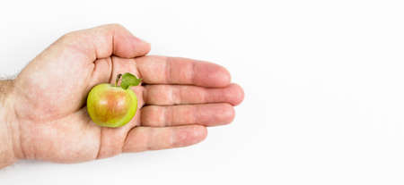 Juicy small wild apple in hand on white backgroundの写真素材