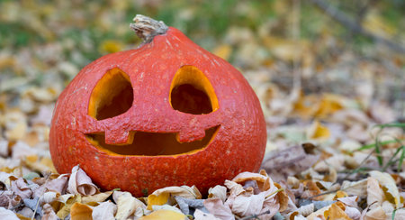Halloween Jack O' Lantern pumpkin on autumn colorful backgroundの写真素材