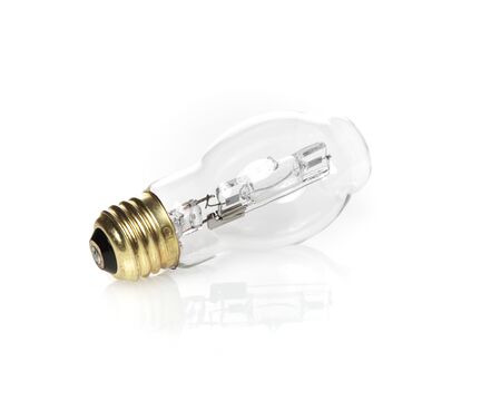 Electric Light Bulb on White with Reflectionの写真素材