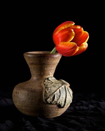 A short stemmed tulip in a clay vase lit dramaticallyの写真素材