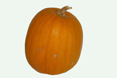 pumpkinの写真素材