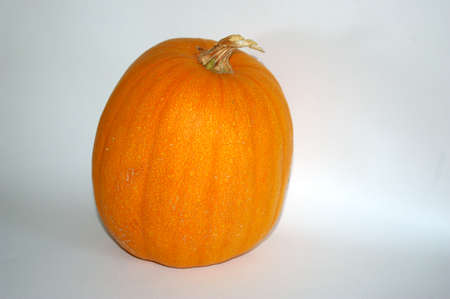 pumpkin isolatedの写真素材