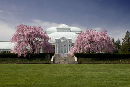 A large building with blooming spring trees and grass lawnの写真素材