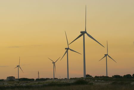 wind farm in the sunset