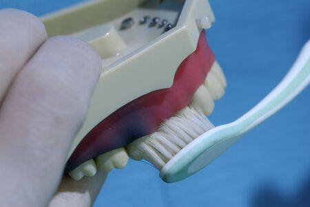 Showing how to brush teethの写真素材