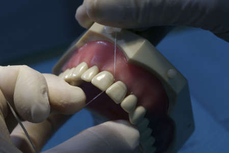 showing how to use flossの写真素材