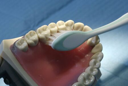 Showing how to brush teethの写真素材