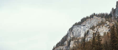 Panoramic view of mountain slope covered by treesの写真素材