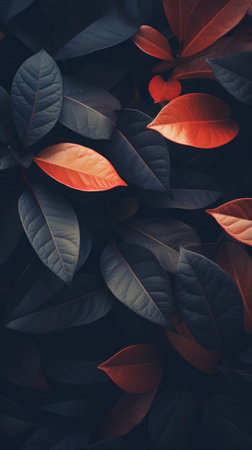 Leaves close-up in dark style. Generative AIの素材