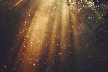 Calm reflection of the sunset in a peaceful forestの素材