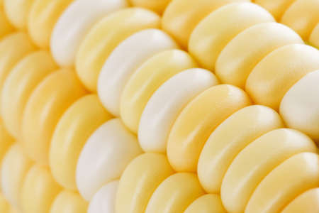 Juicy fresh corn grain closeup, raw, vegetarian