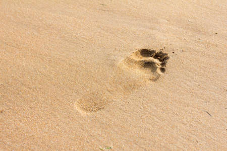 one footprints on the sand of the beach. crisp printsの写真素材