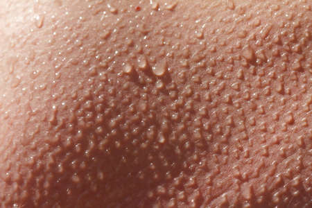 Human skin close up. Structure of caucasian  Skin.の写真素材
